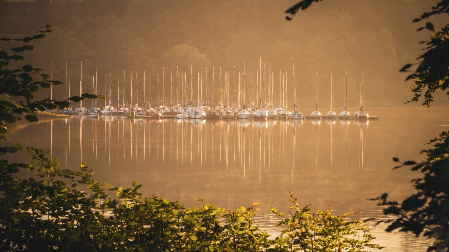 Steganlage mit vertäuten Booten im Morgenlicht, Spiegelung im ruhigen Wasser